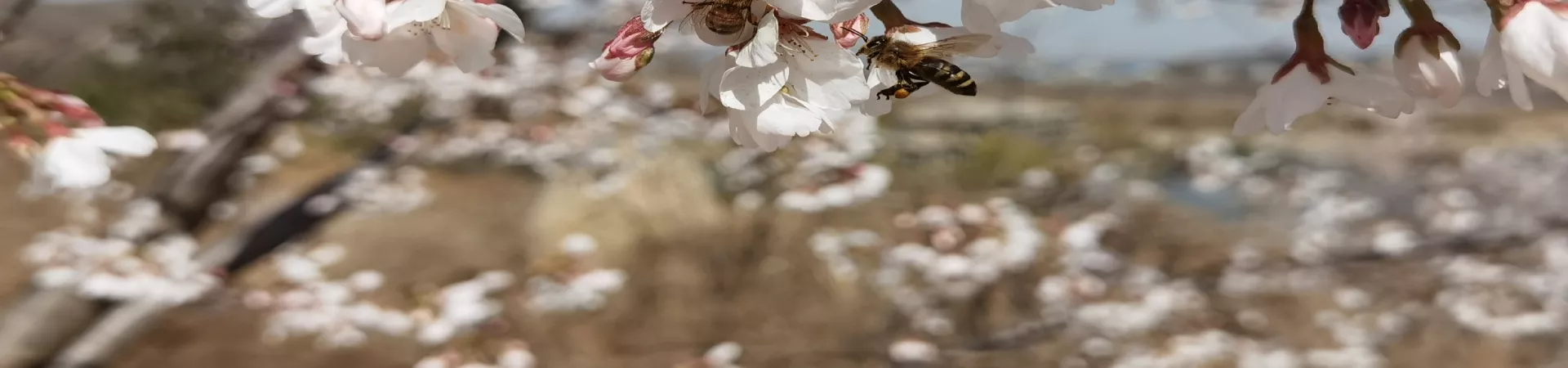 Top China Guide banner