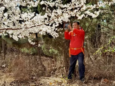 Sakura Mountain Scenic Area