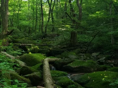 Sankuaishi National Forest Park