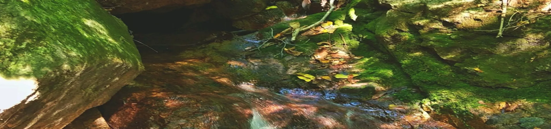 Top China Guide banner