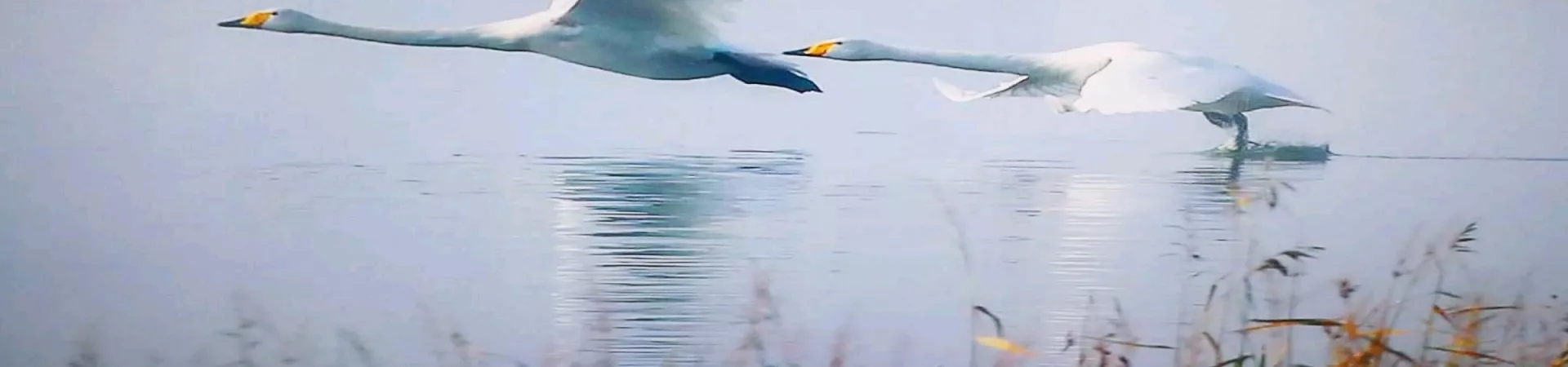 Top China Guide banner