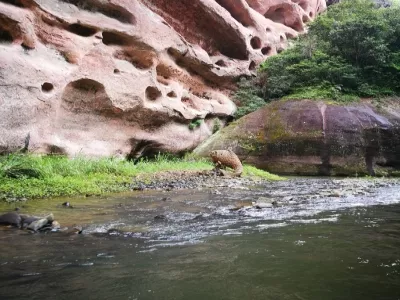 Sanming Shangqing Creek