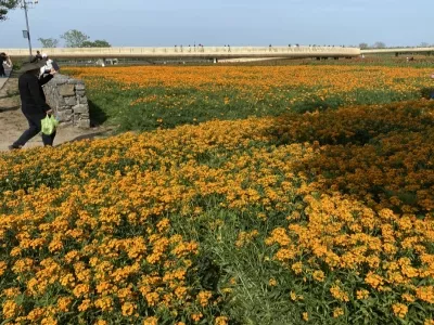 Santai Mountain National Forest Park - Naitian Flower Sea Scenic Area