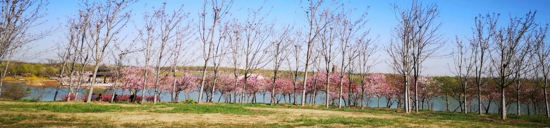 Top China Guide banner