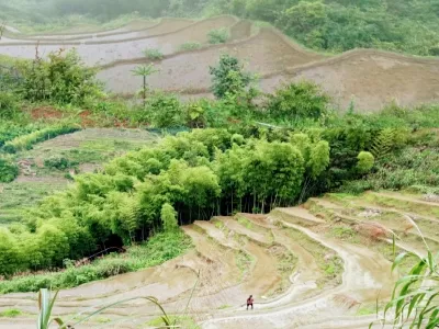 Shangbao Terraced Fields