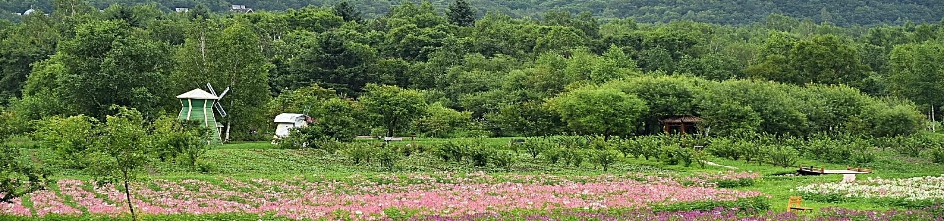 Top China Guide banner