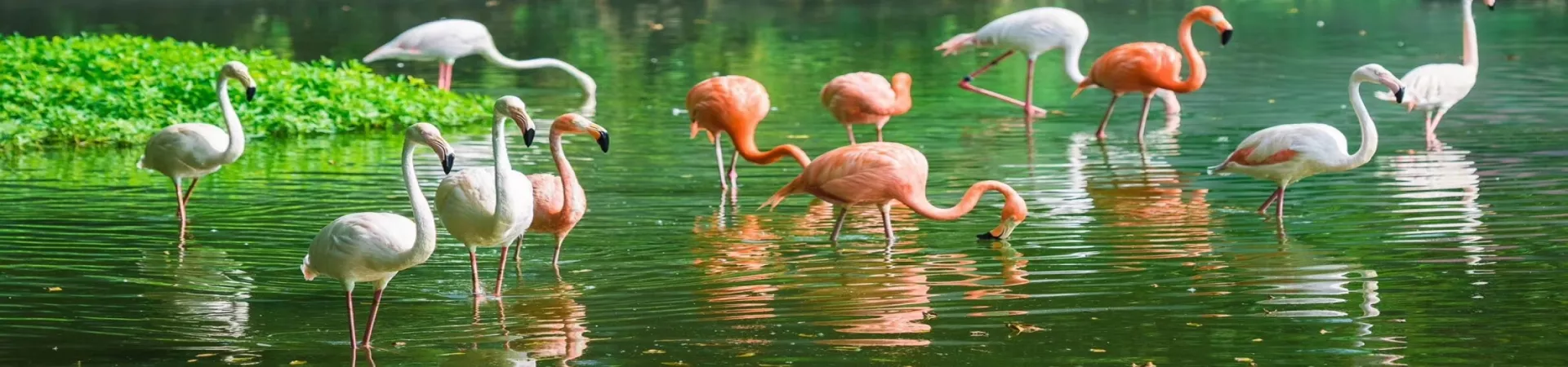 Top China Guide banner