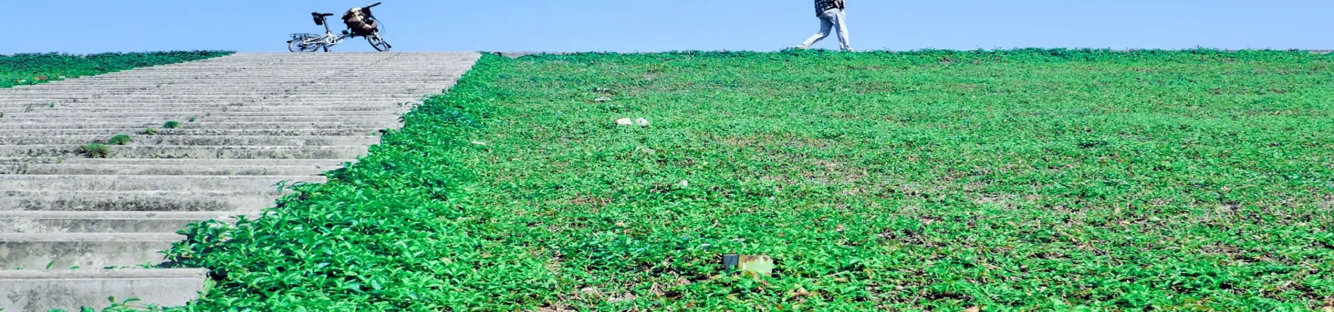 Top China Guide banner