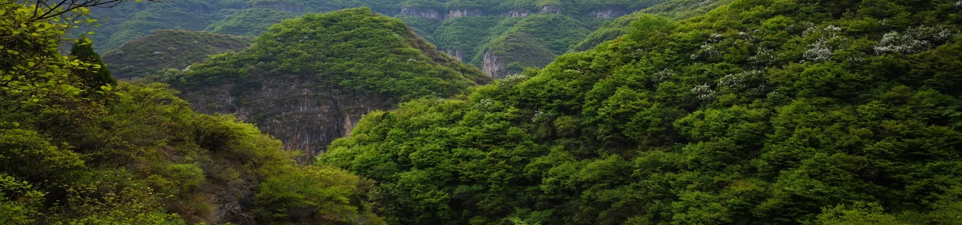 Top China Guide banner