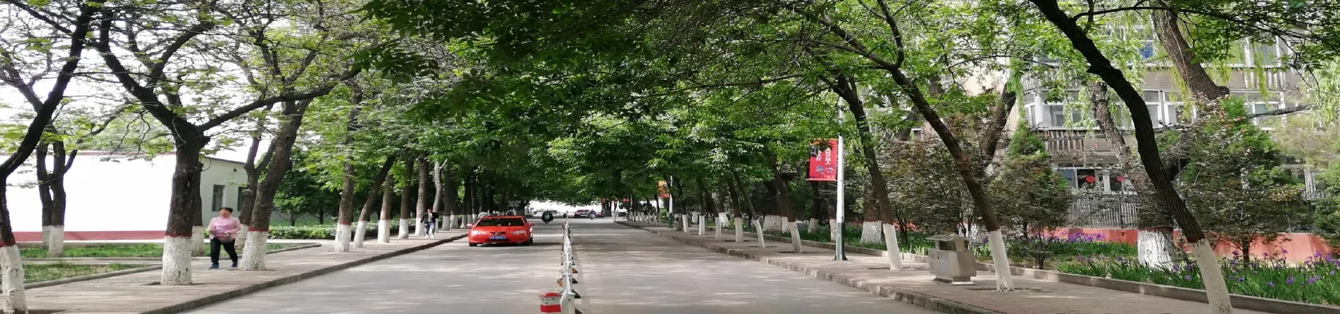 Top China Guide banner