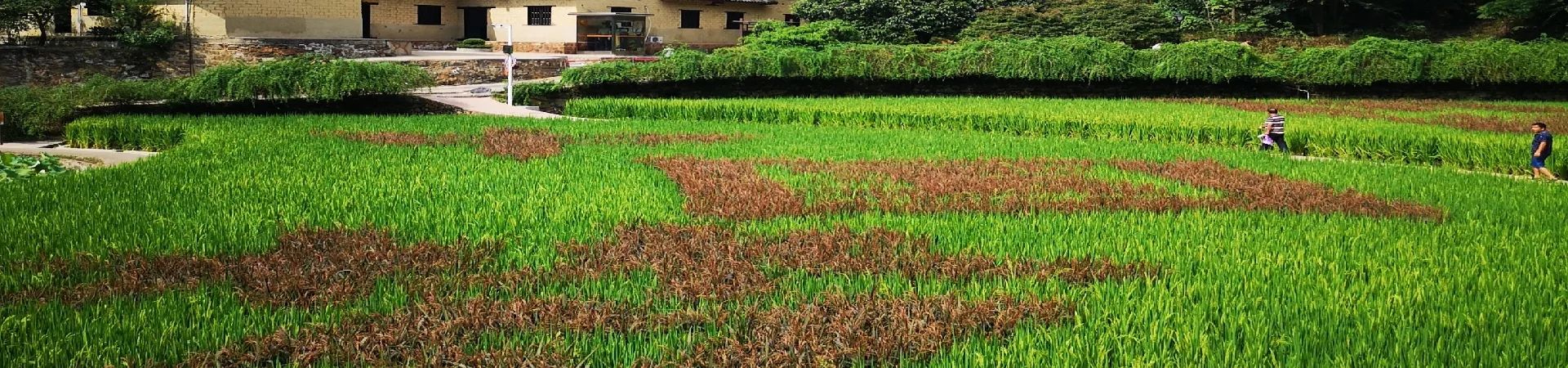 Top China Guide banner