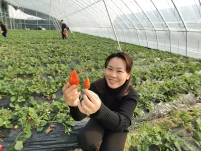 Shengli Swan Lake Scenic Area