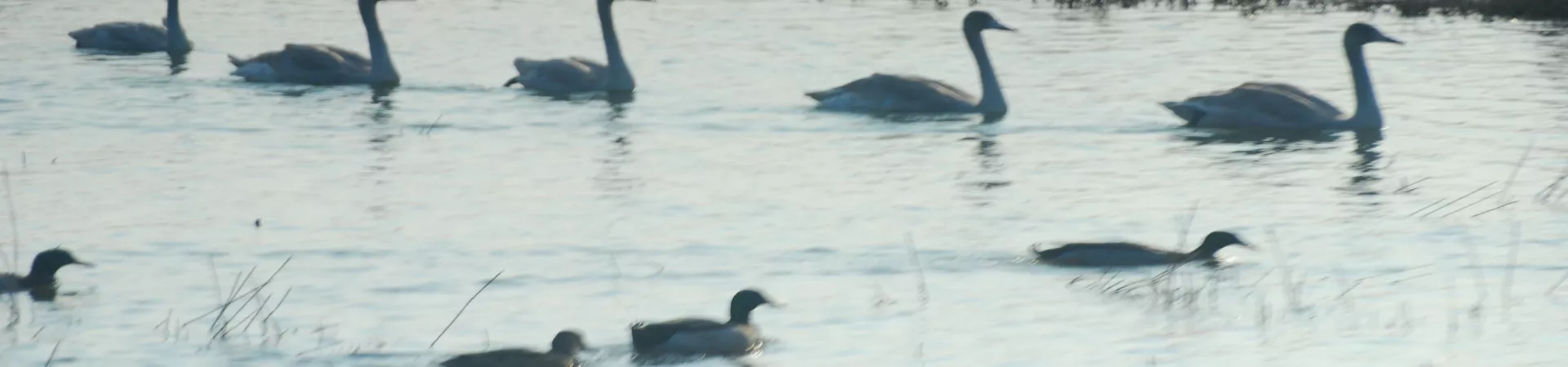 Top China Guide banner