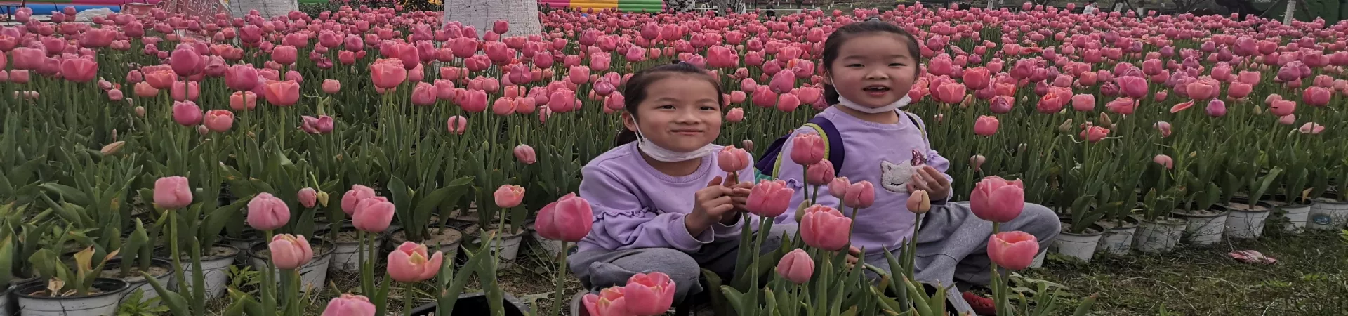 Top China Guide banner