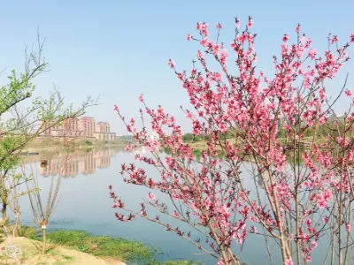 Shennong Park