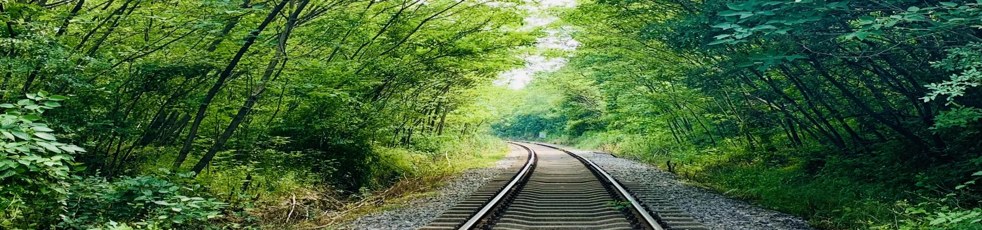 Top China Guide banner