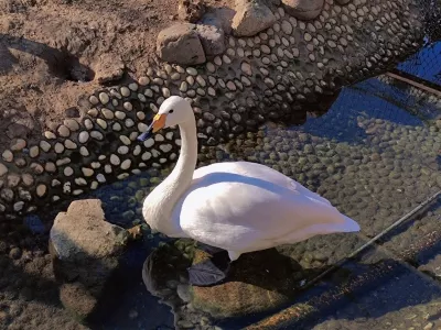 Shenzhou Bird Garden