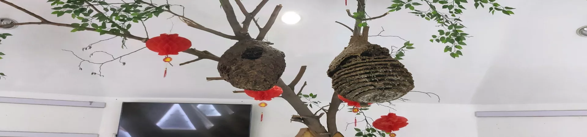 Top China Guide banner