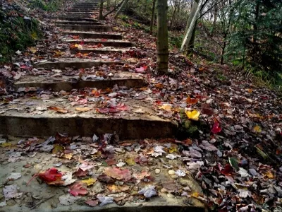Shifang Yinghua Mountain Scenic Area