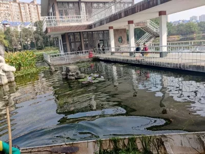 Shifeng Park