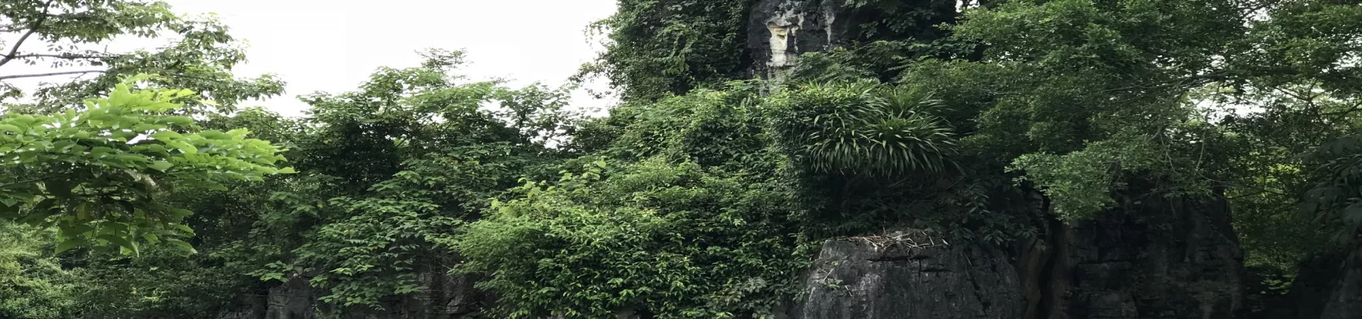 Top China Guide banner