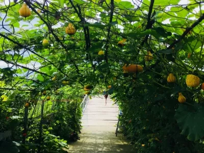 Shilongshan Forest Park