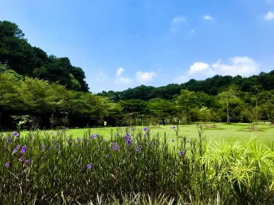 Shimen Forest Park 