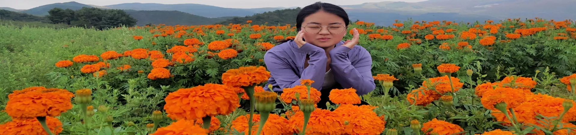 Top China Guide banner