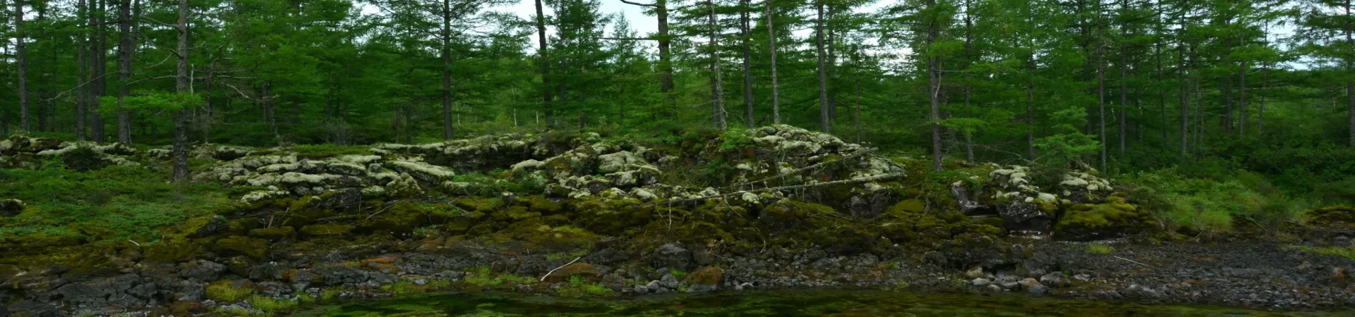 Top China Guide banner