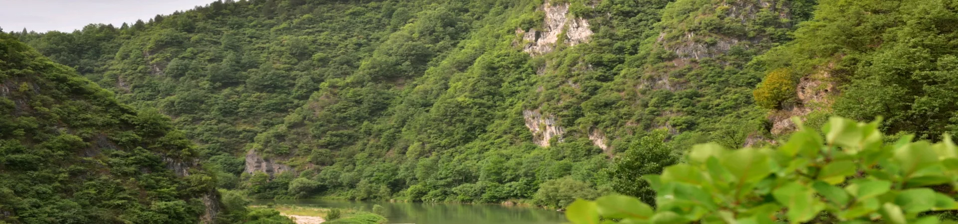 Top China Guide banner