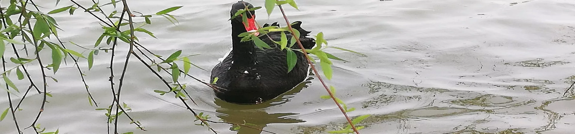 Top China Guide banner