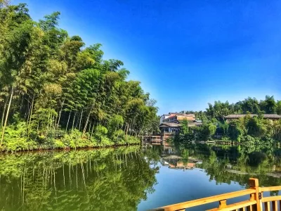 The Shunan Bamboo Sea