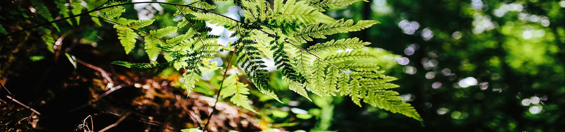 Top China Guide banner