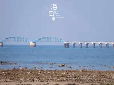 Sinopec crude oil terminal