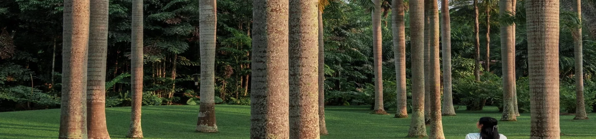 Top China Guide banner