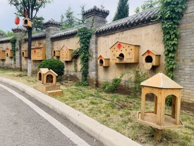Situ Town