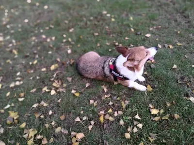 Guang'an Siyuan Square