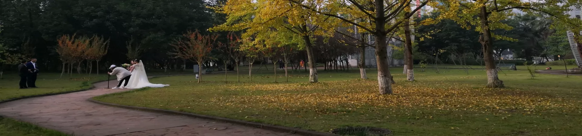 Top China Guide banner