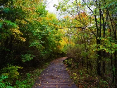 Songjianghe National Forest Park