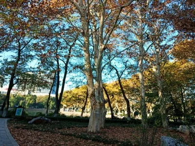 South Lake Park
