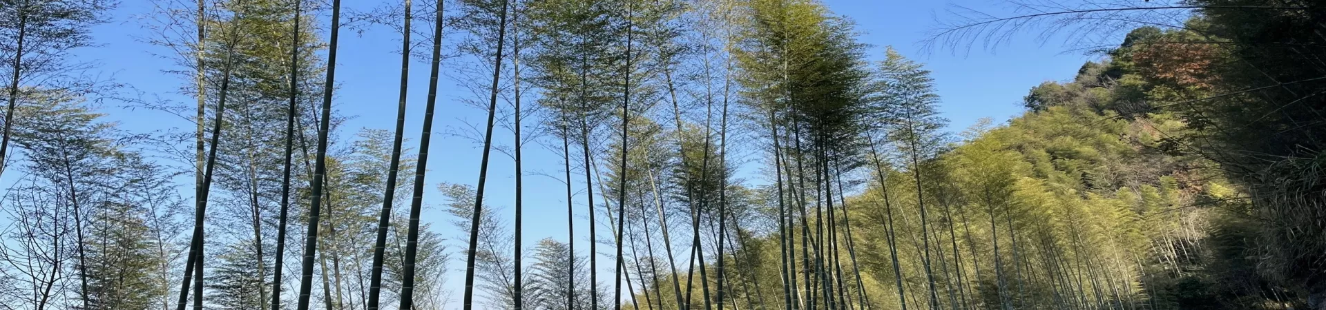 Top China Guide banner