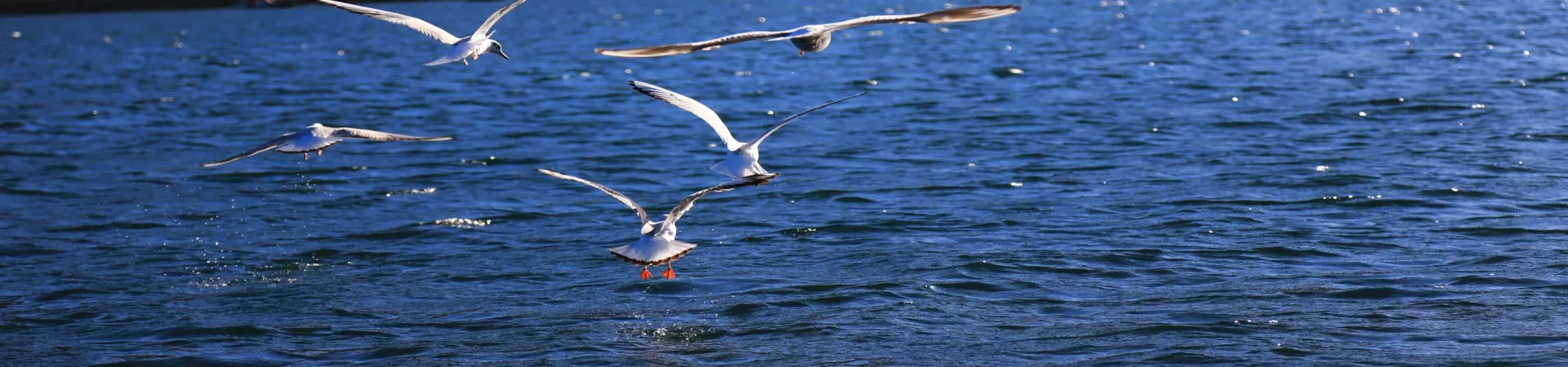 Top China Guide banner