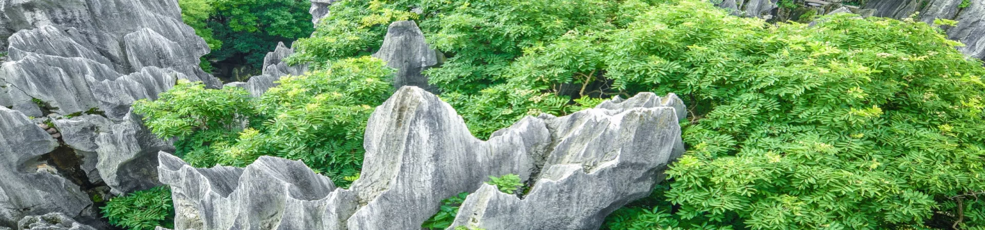 Top China Guide banner