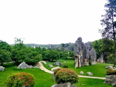 stone forest 