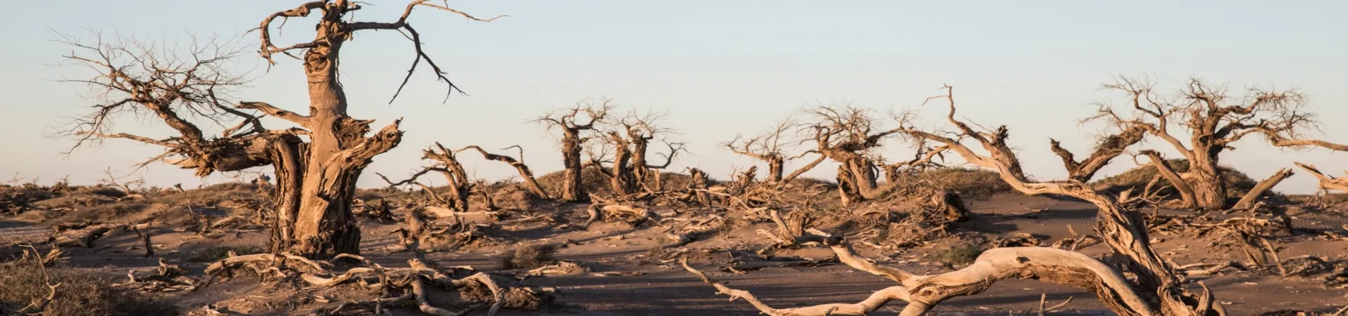 Top China Guide banner