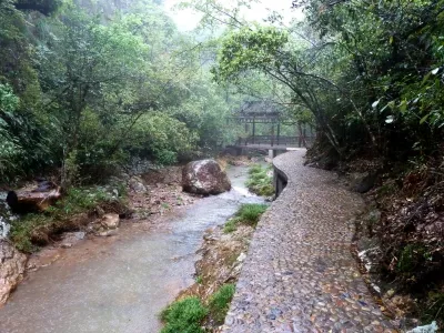 Suichang Shenlong Valley Scenic Area