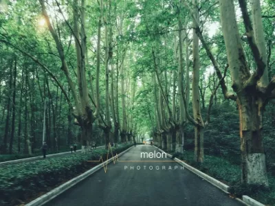 The Sun Yat-sen Mausoleum