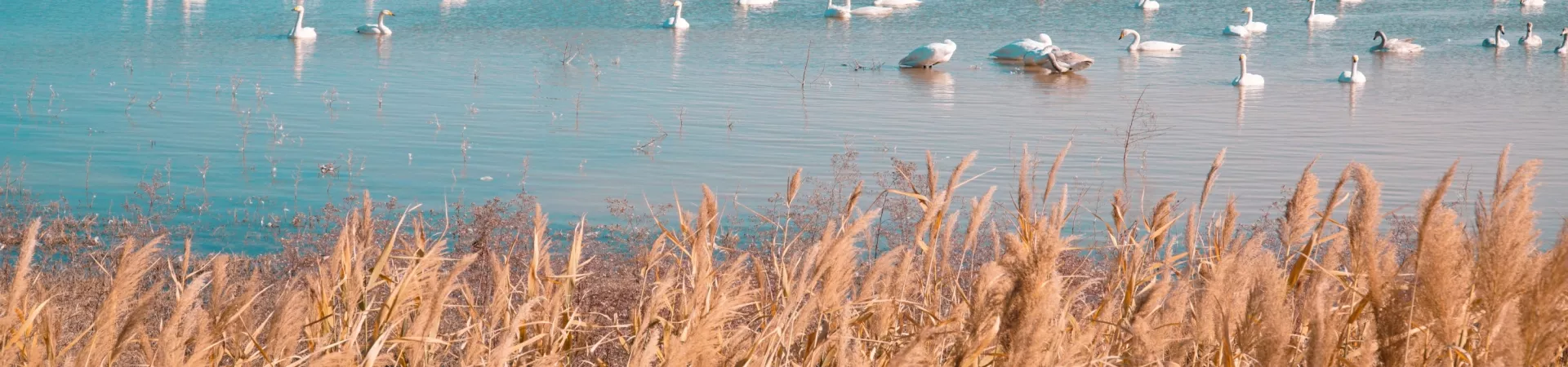 Top China Guide banner