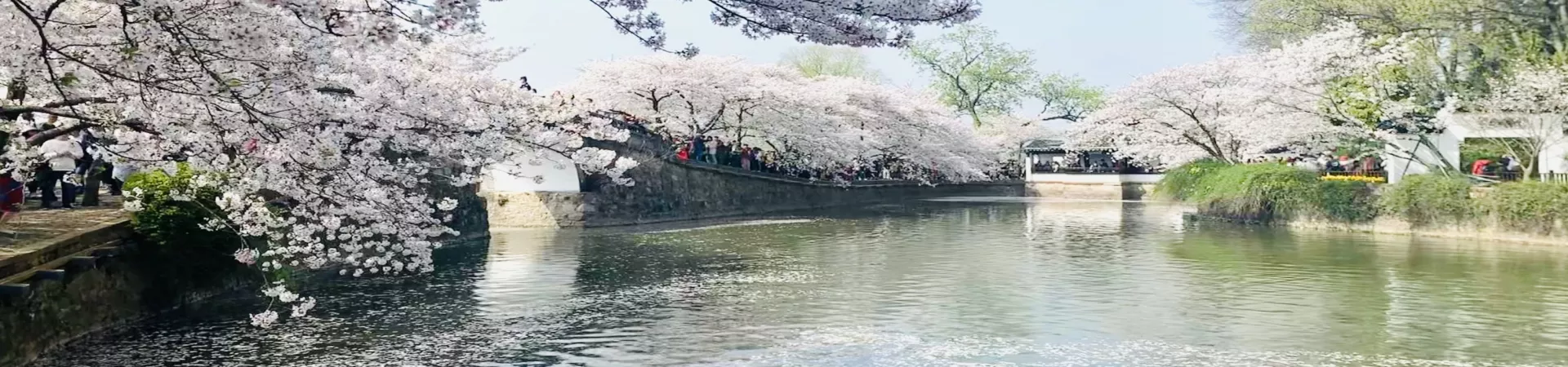 Top China Guide banner