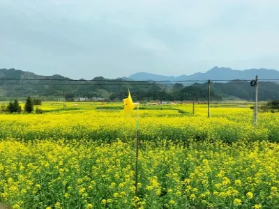 Taihui Mountain